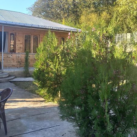 Green Villa Tskaltubo Ngoại thất bức ảnh